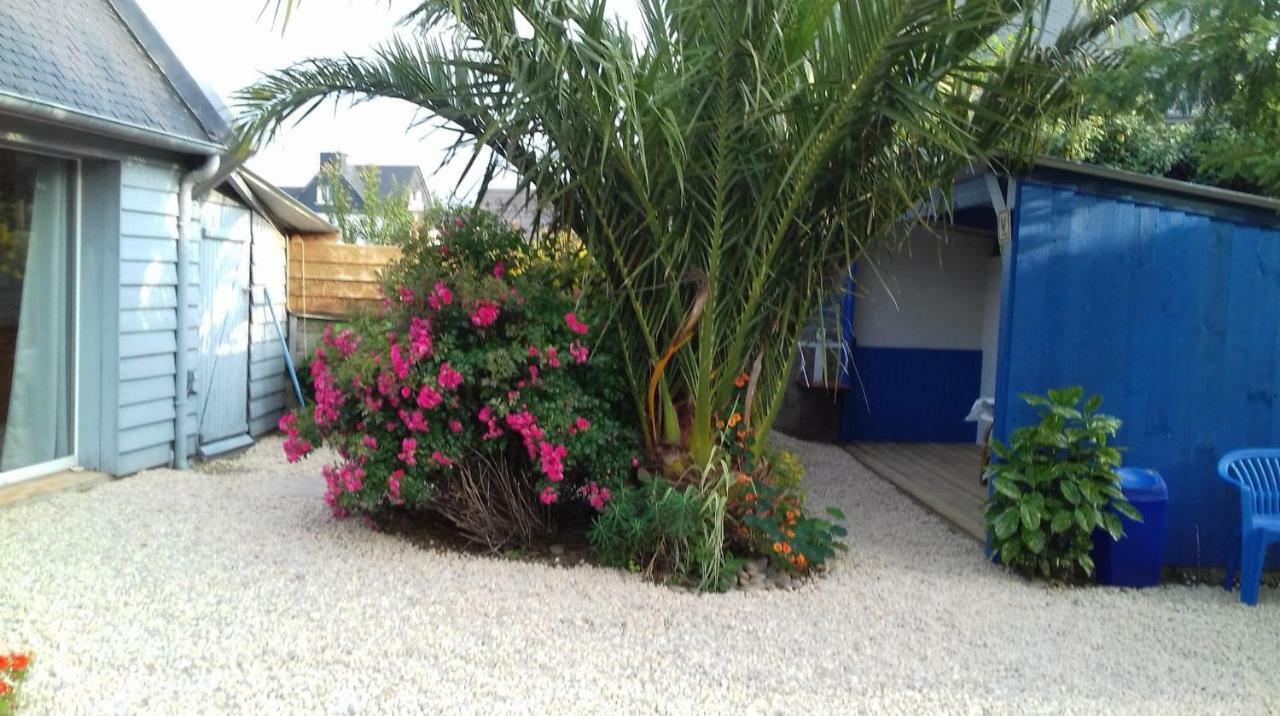 Le Petit Cottage Entre Village Et Mer Trélévern Kültér fotó