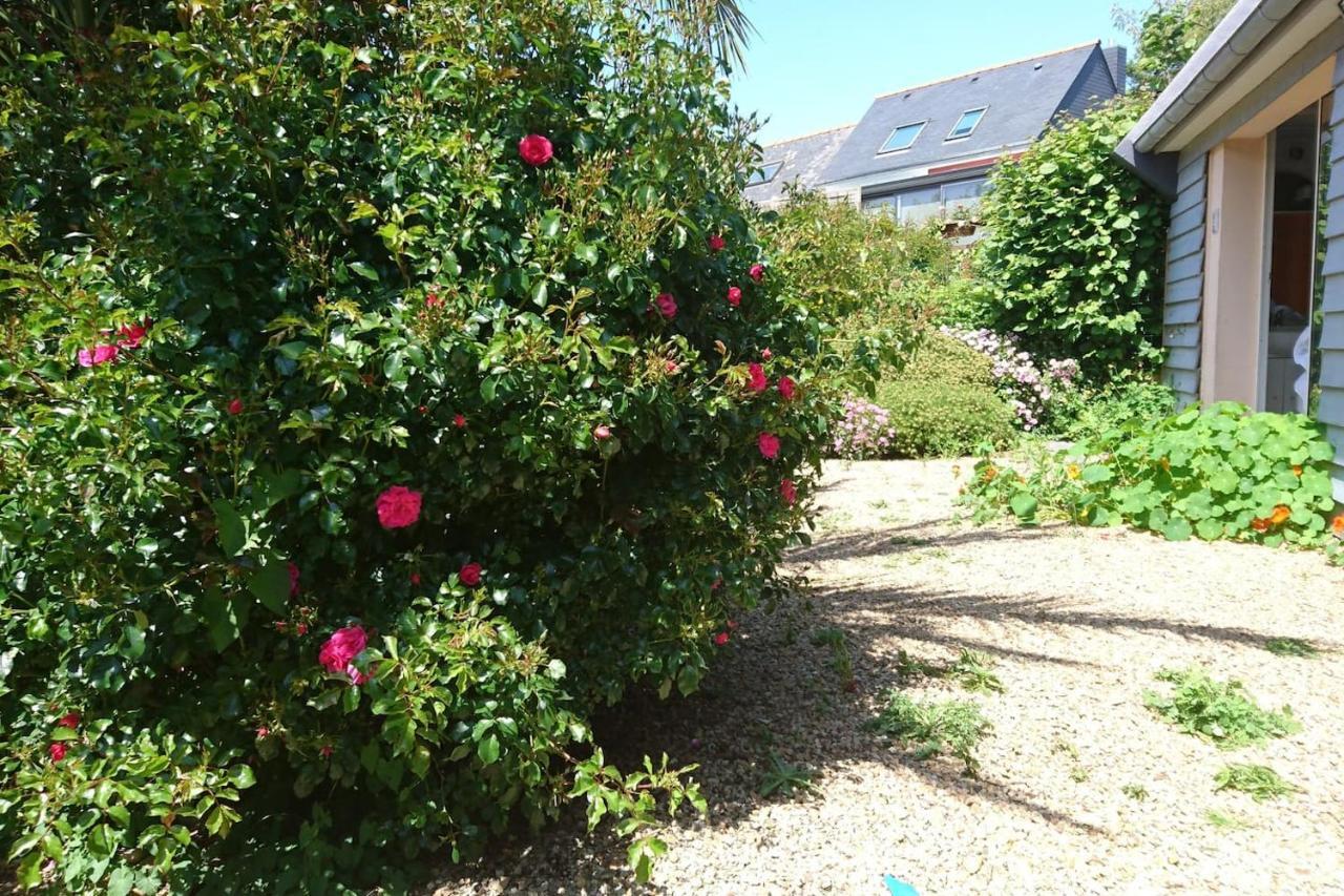 Le Petit Cottage Entre Village Et Mer Trélévern Kültér fotó
